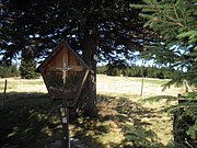 P9050029.JPG