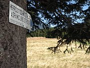 P9050030.JPG