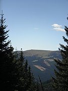 P9050033.JPG
