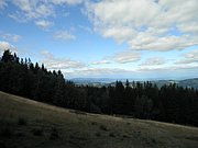 P9050047.JPG