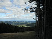 P9050048.JPG