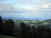 P9050057.JPG