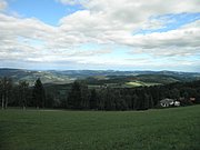 P9050058.JPG
