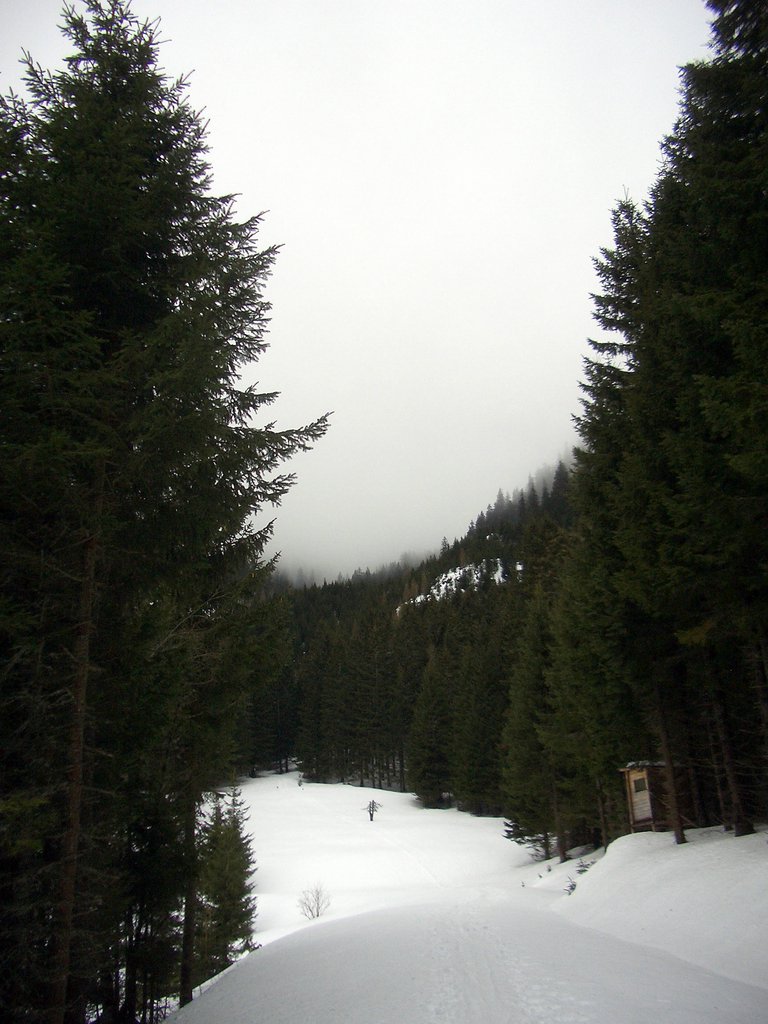 CIMG3917.JPG