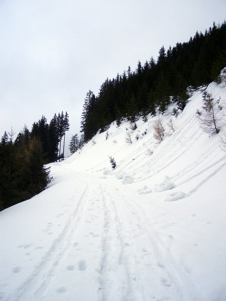 CIMG3919.JPG