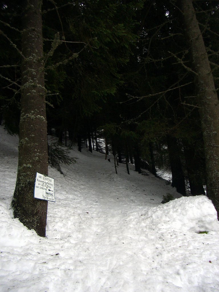 CIMG3925.JPG