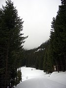 CIMG3917.JPG