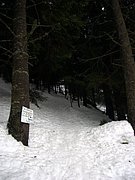 CIMG3925.JPG