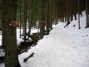 CIMG3935.JPG