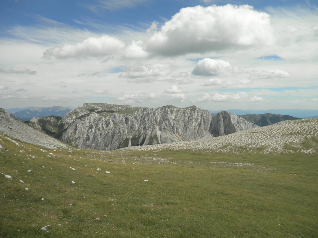 P8080107.JPG