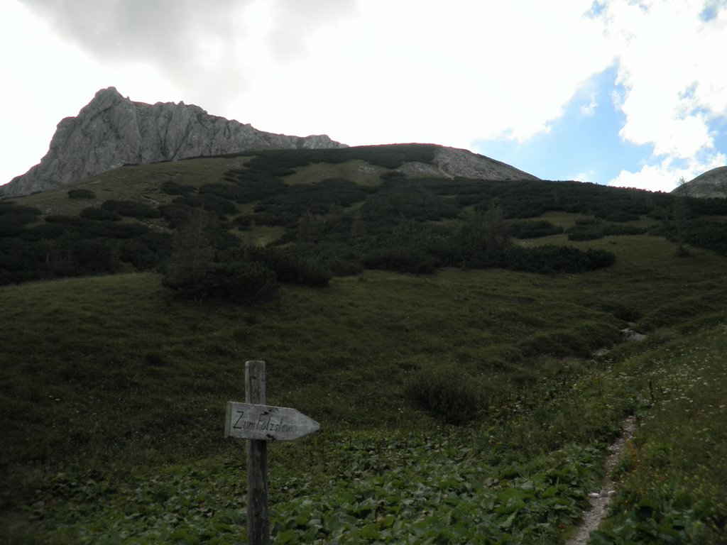 P8080130.JPG