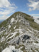 P8080090.JPG