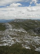 P8080093.JPG