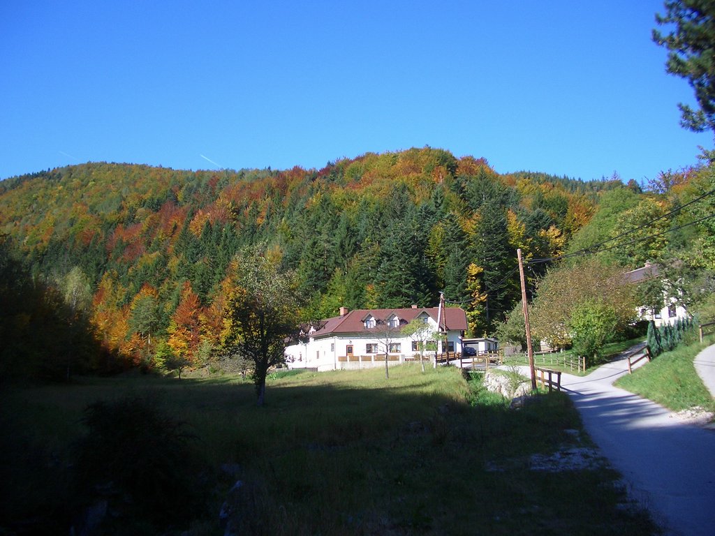 CIMG2633.JPG