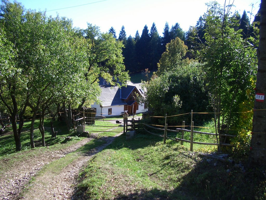 CIMG2699.JPG