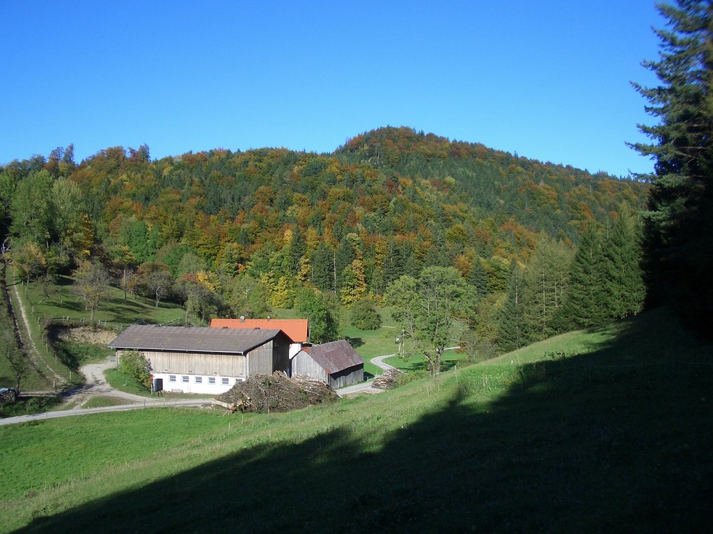 CIMG2705.JPG