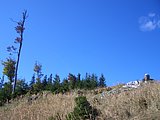 CIMG2670.JPG