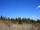 CIMG2674.JPG