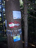 CIMG2696.JPG