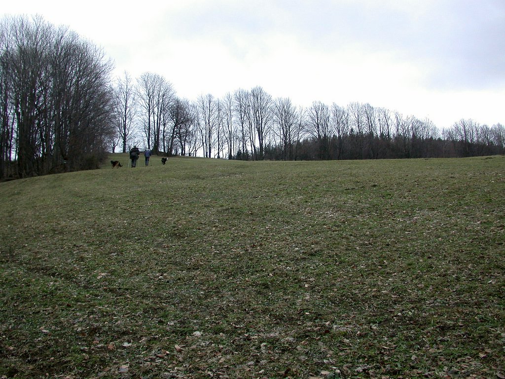 DSCN4326.JPG