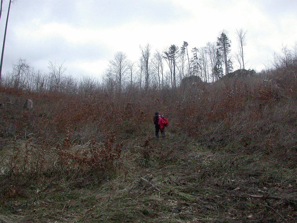 DSCN4329.JPG