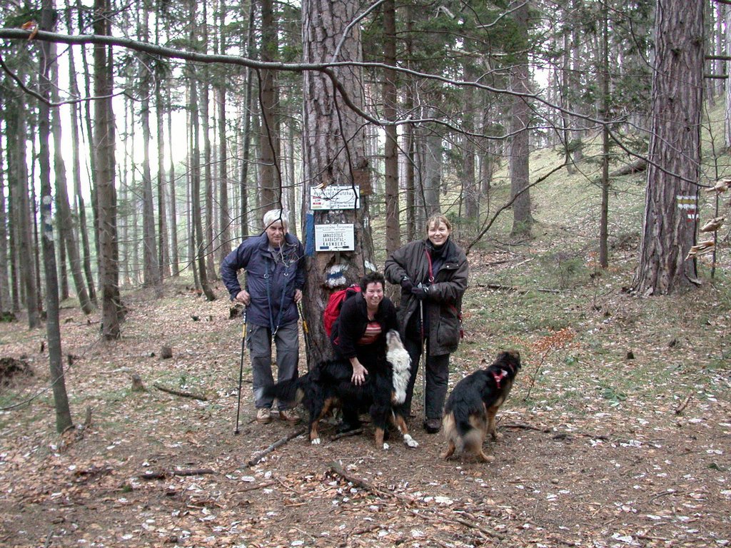 DSCN4330.JPG