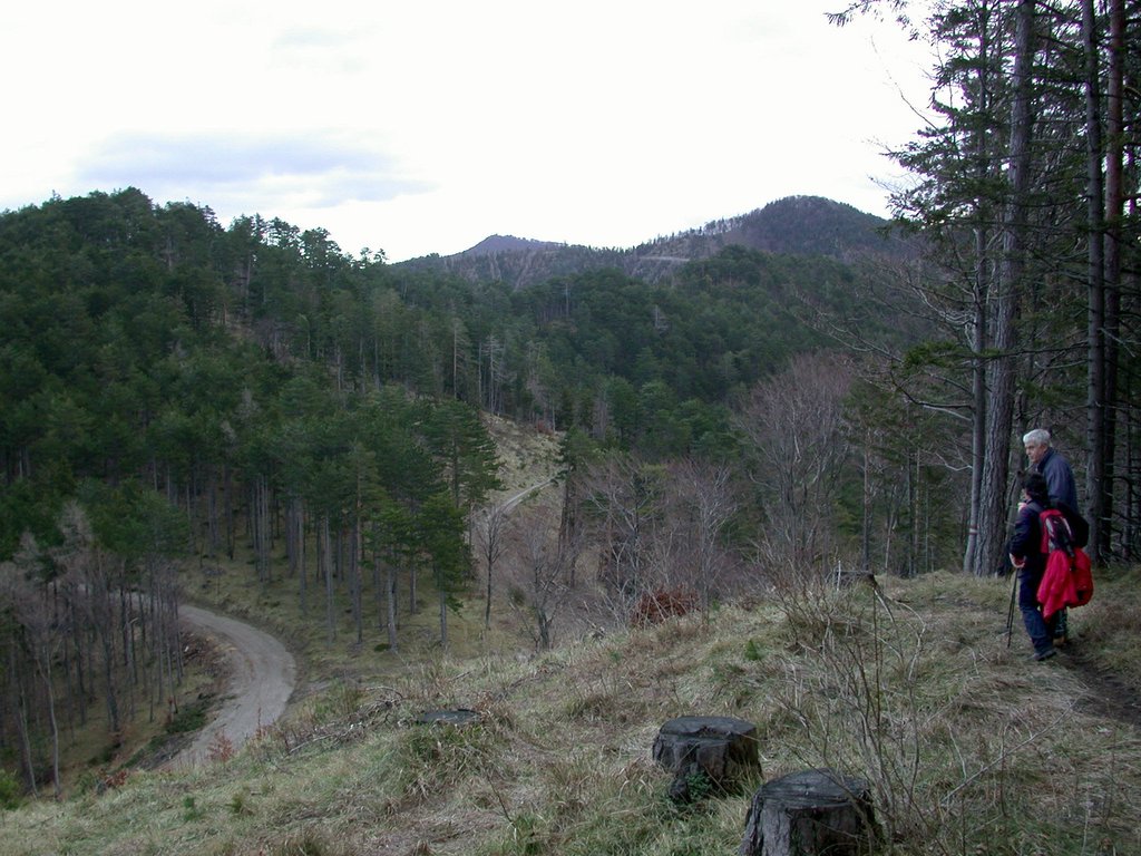 DSCN4331.JPG