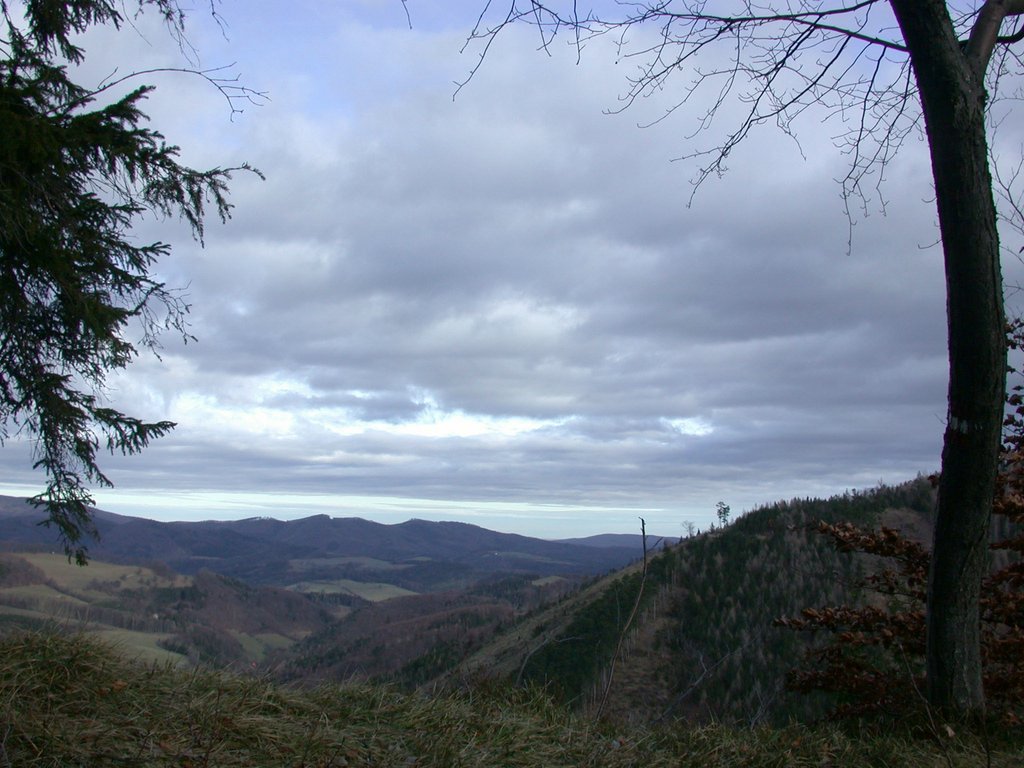 DSCN4341.JPG