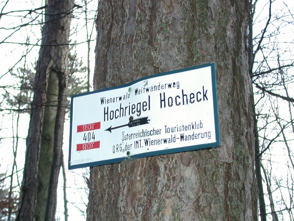 DSCN4350.JPG