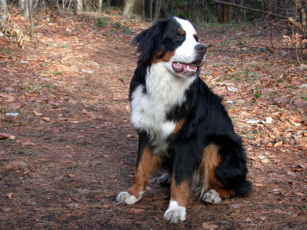 DSCN4373.JPG