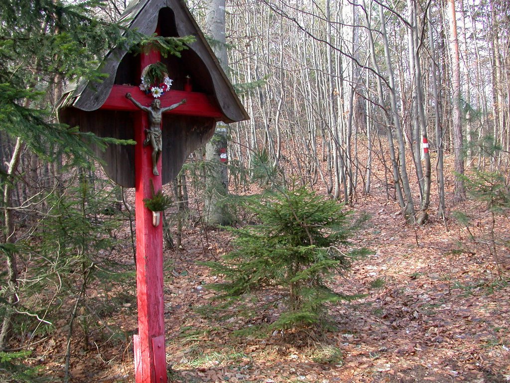 DSCN4375.JPG