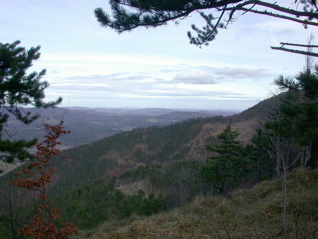 DSCN4376.JPG