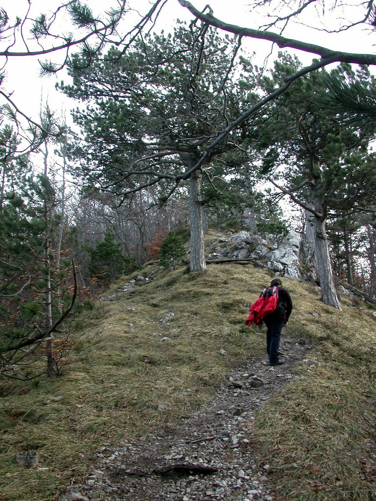 DSCN4382.JPG