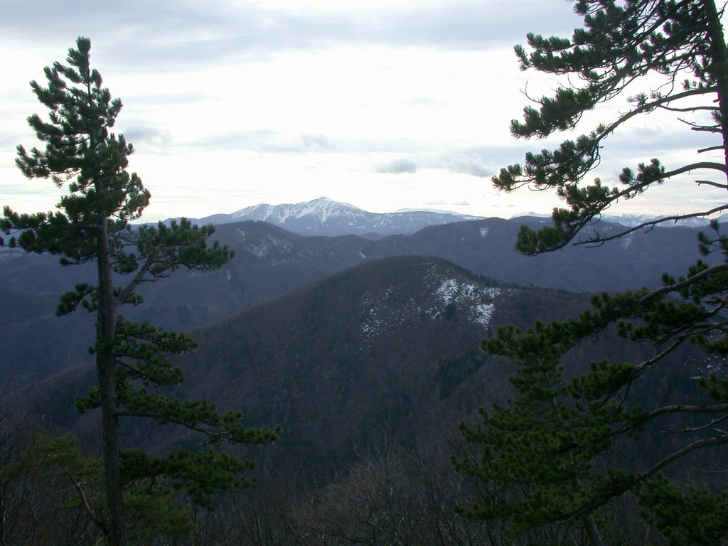 DSCN4383.JPG