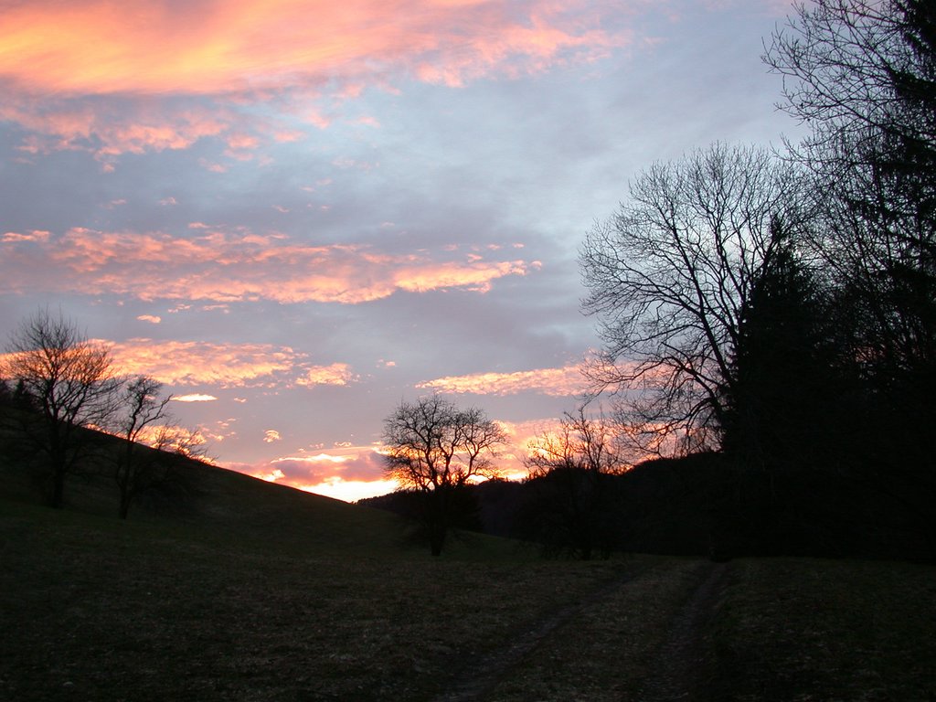DSCN4399.JPG