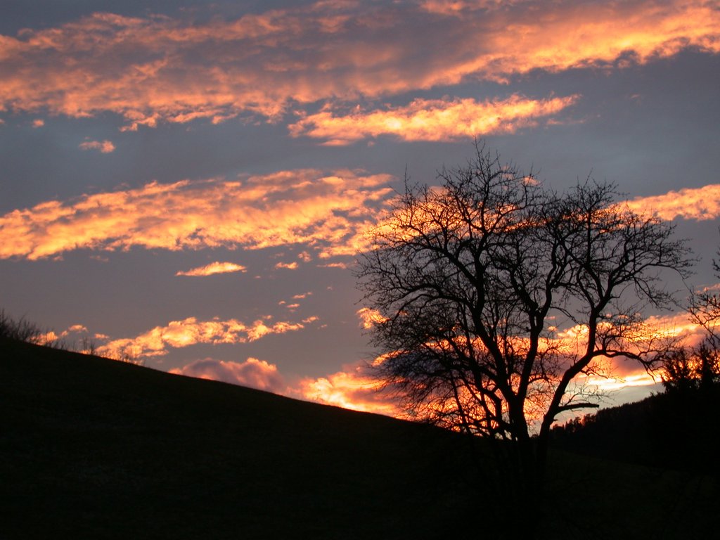 DSCN4401.JPG