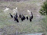 DSCN4323.JPG