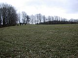 DSCN4326.JPG