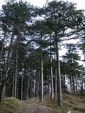 DSCN4339.JPG