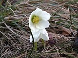 DSCN4345.JPG