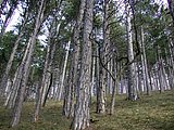 DSCN4346.JPG