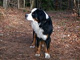 DSCN4369.JPG