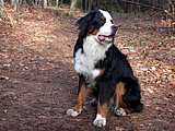 DSCN4373.JPG