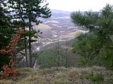DSCN4377.JPG