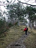 DSCN4382.JPG
