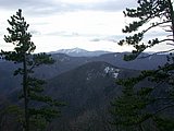 DSCN4383.JPG