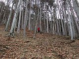 DSCN4394.JPG