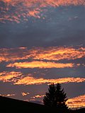 DSCN4404.JPG