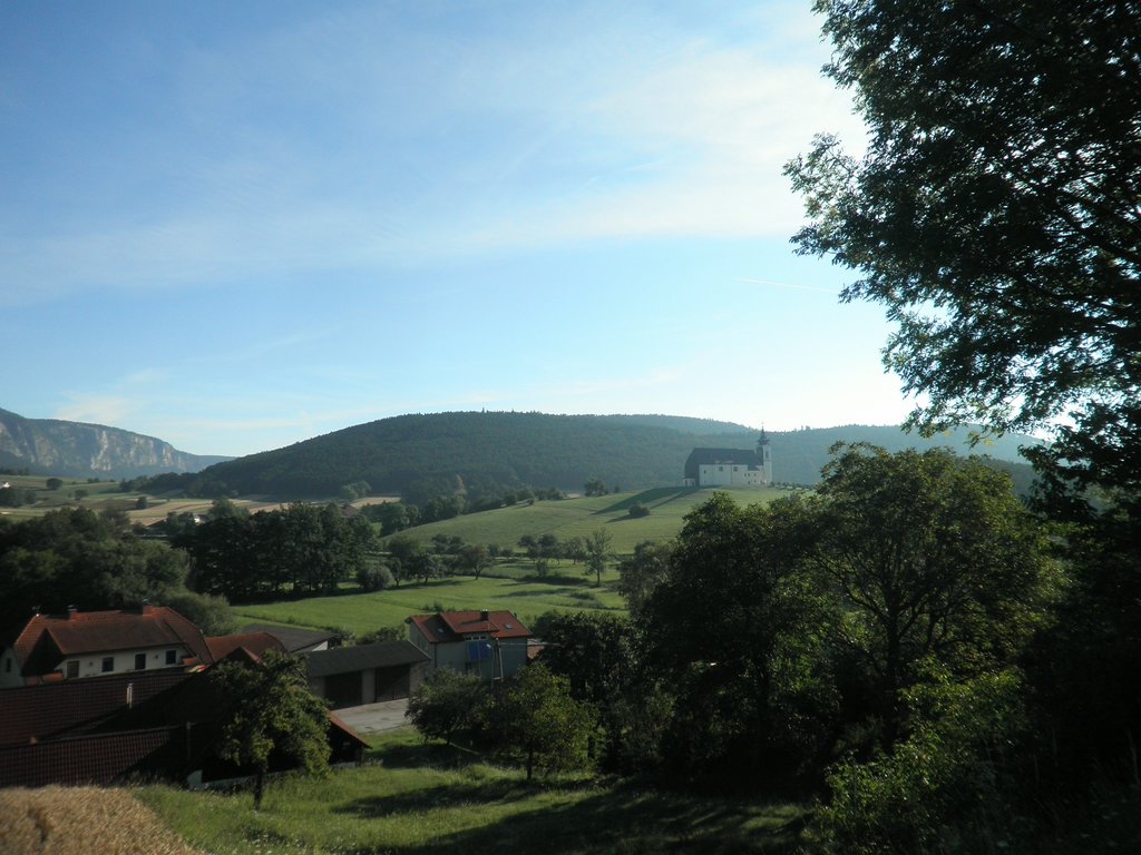P8070003.JPG