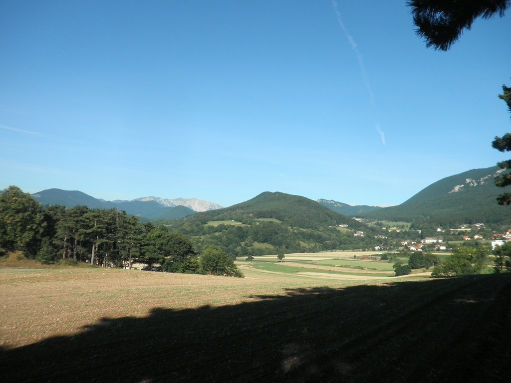 P8070010.JPG